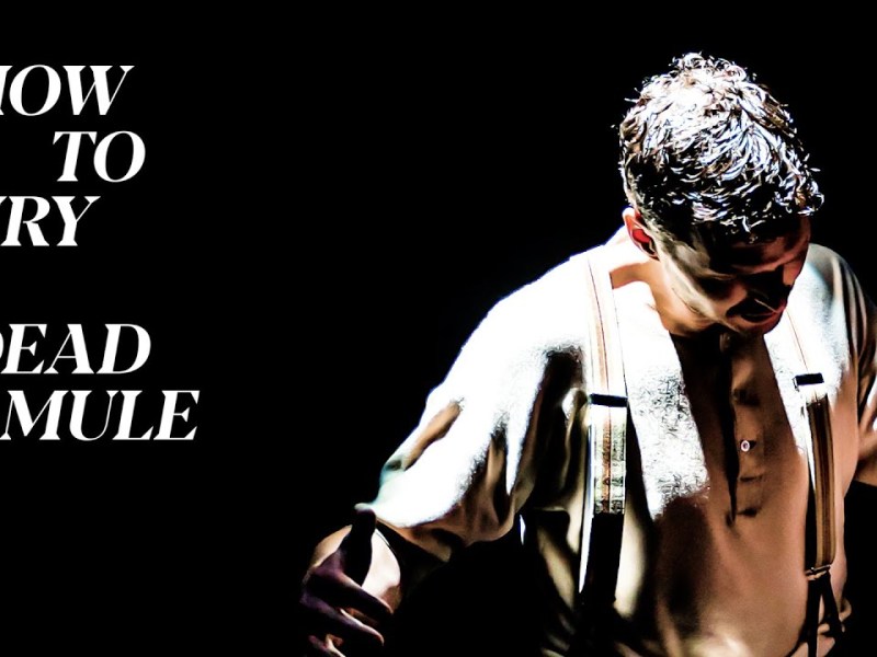 ‘How To Bury A Dead Mule’ (JackDome, Pleasance Dome) | Review By Keiran&nbsp;McLean.